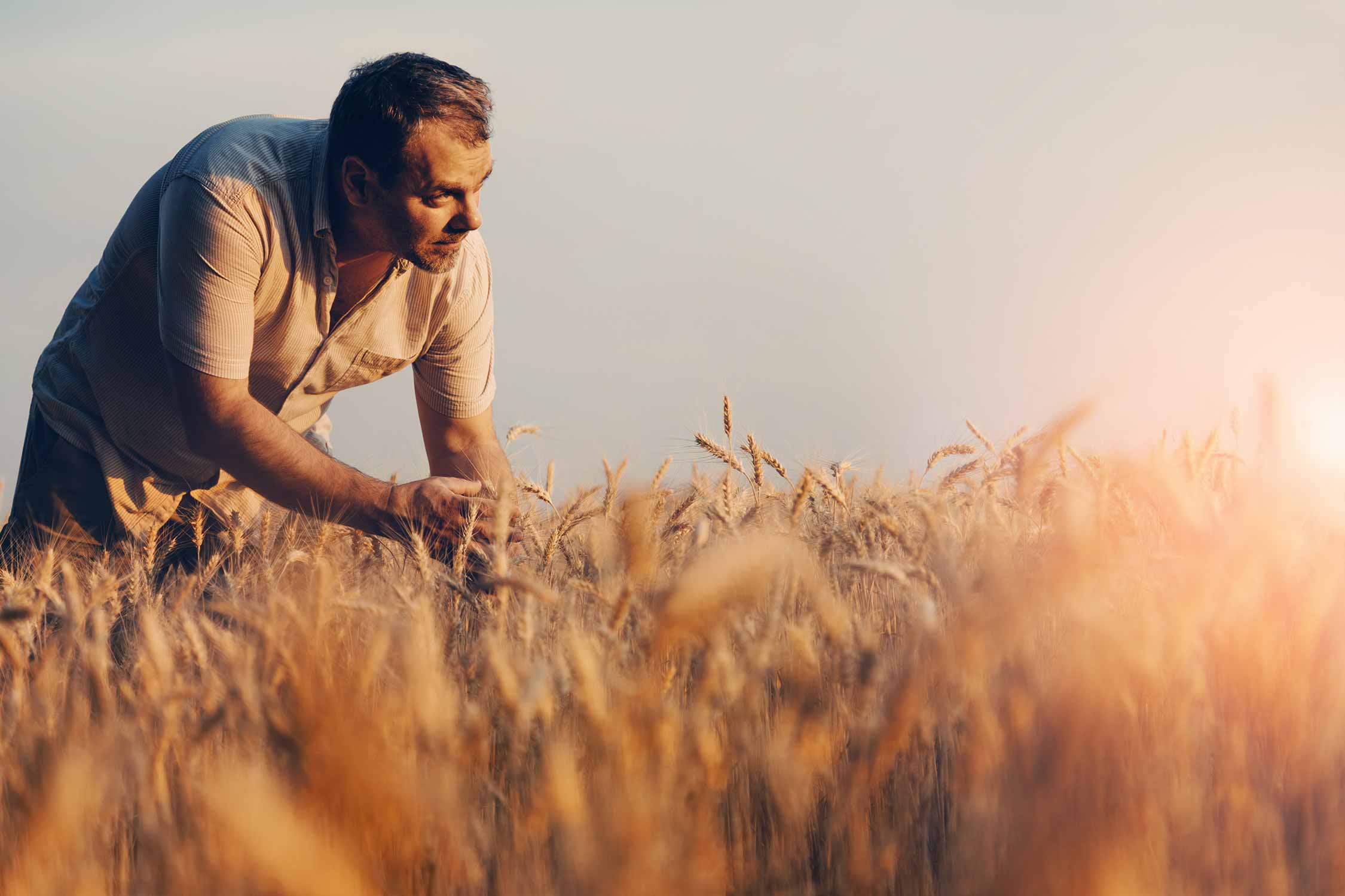 Bauer, der auf Feld steht und in die Ferne sieht